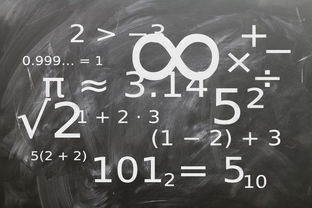 mk体育官网-中小学体育课程教学内容优化研究，中小学体育教学内容的衔接研究